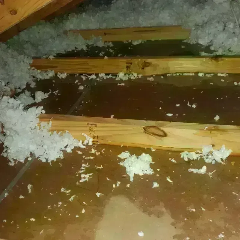 Attic Water Damage in Arkansas City, KS