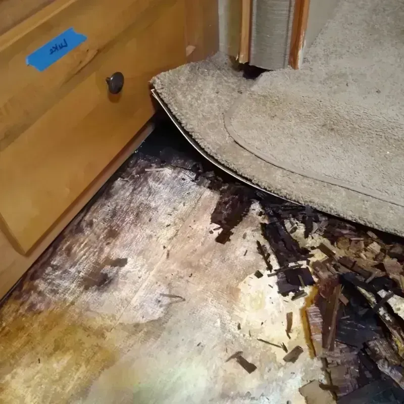 Wood Floor Water Damage in Arkansas City, KS